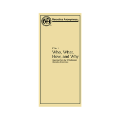 IP # 1 Who, What, How & Why Large Print