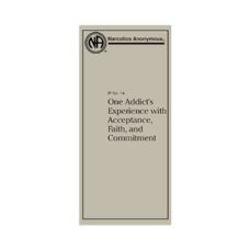 IP # 14 One Addict’s Experience… IP # 14 One Addict’s Experience…