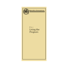 IP # 9 Living the Program Large Print